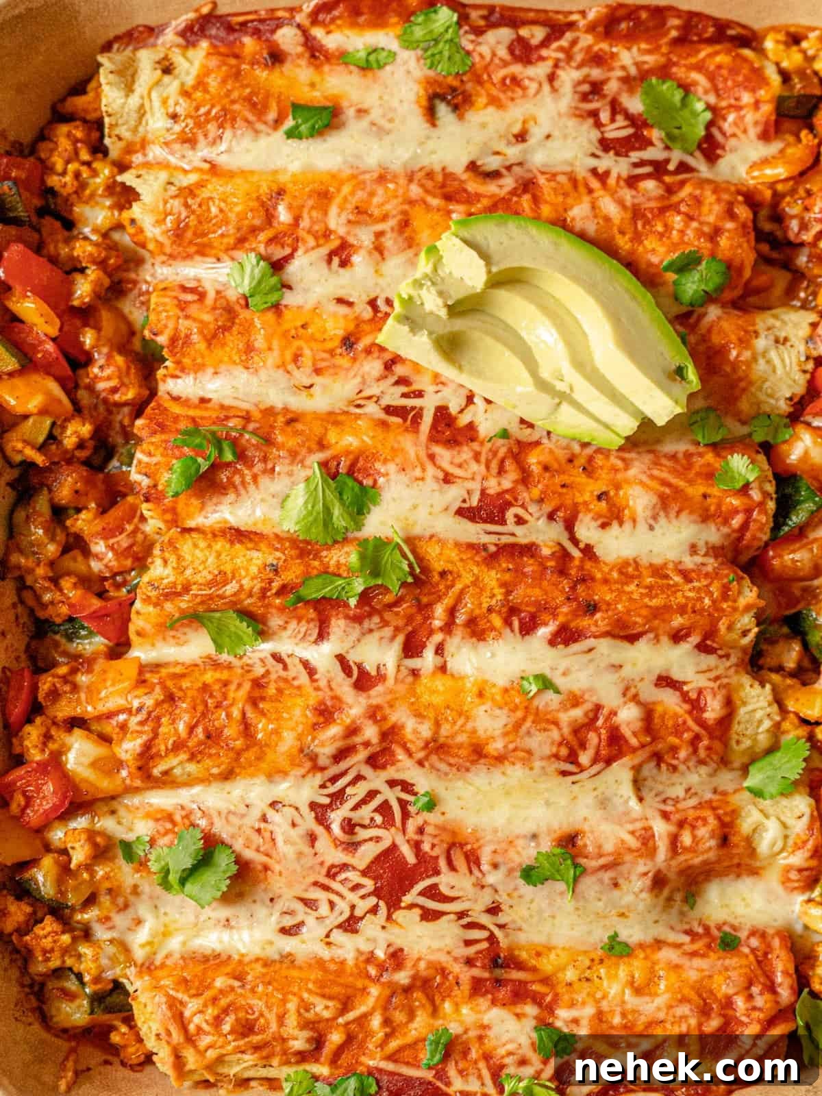 rolled tortillas topped with melted cheese