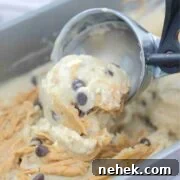 35 High-Protein Vegan Powder Recipes for Smoothies & Snacks 22 Close up of an ice cream scoop scooping peanut butter chocolate chip ice cream.