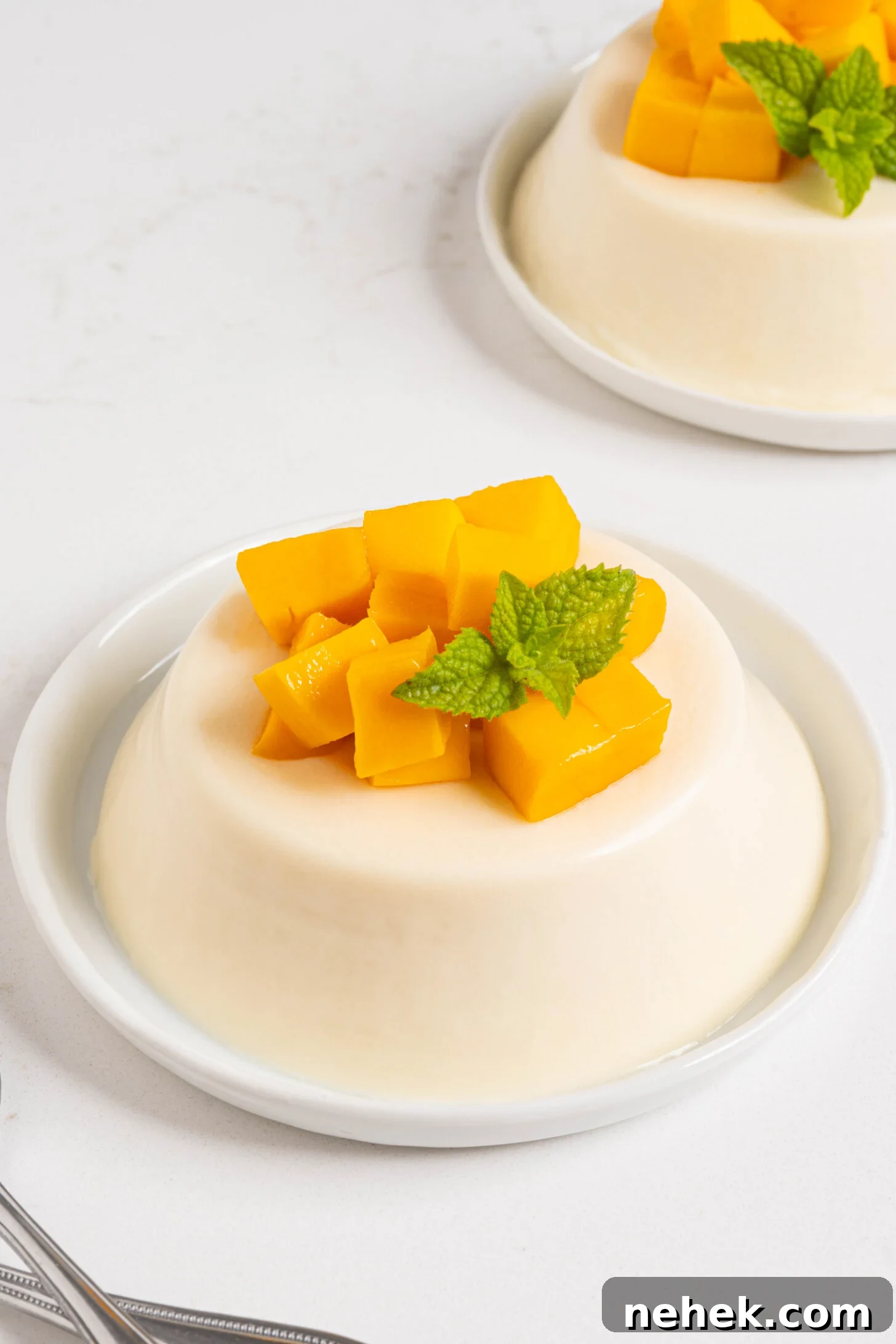 Coconut panna cotta on a plate.