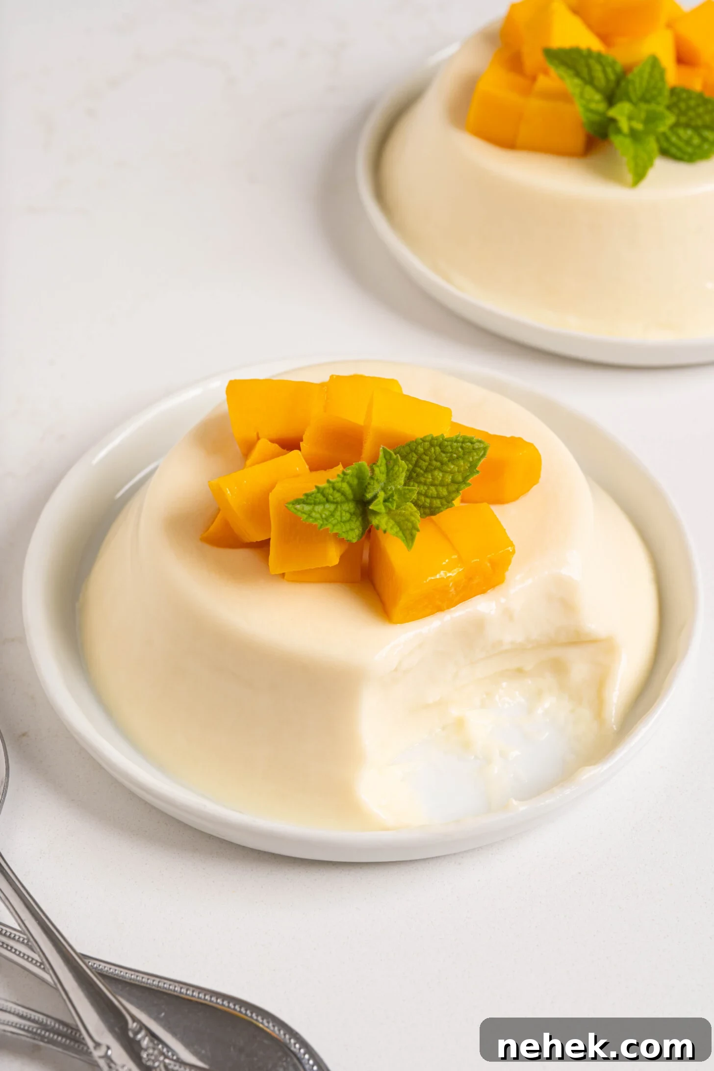 Coconut panna cotta on a plate.