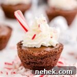 close up of a hot chocolate brownie, with whipped cream on the top scattered with peppermint sticks