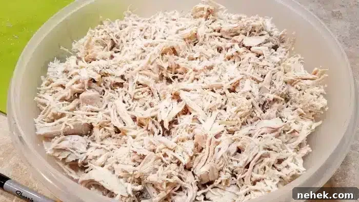 boiled chicken