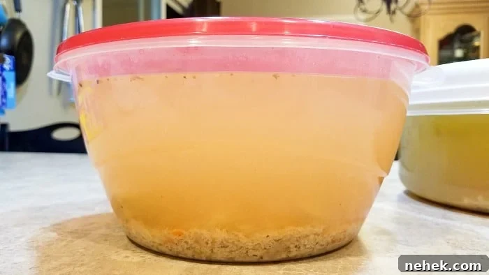 homemade chicken broth