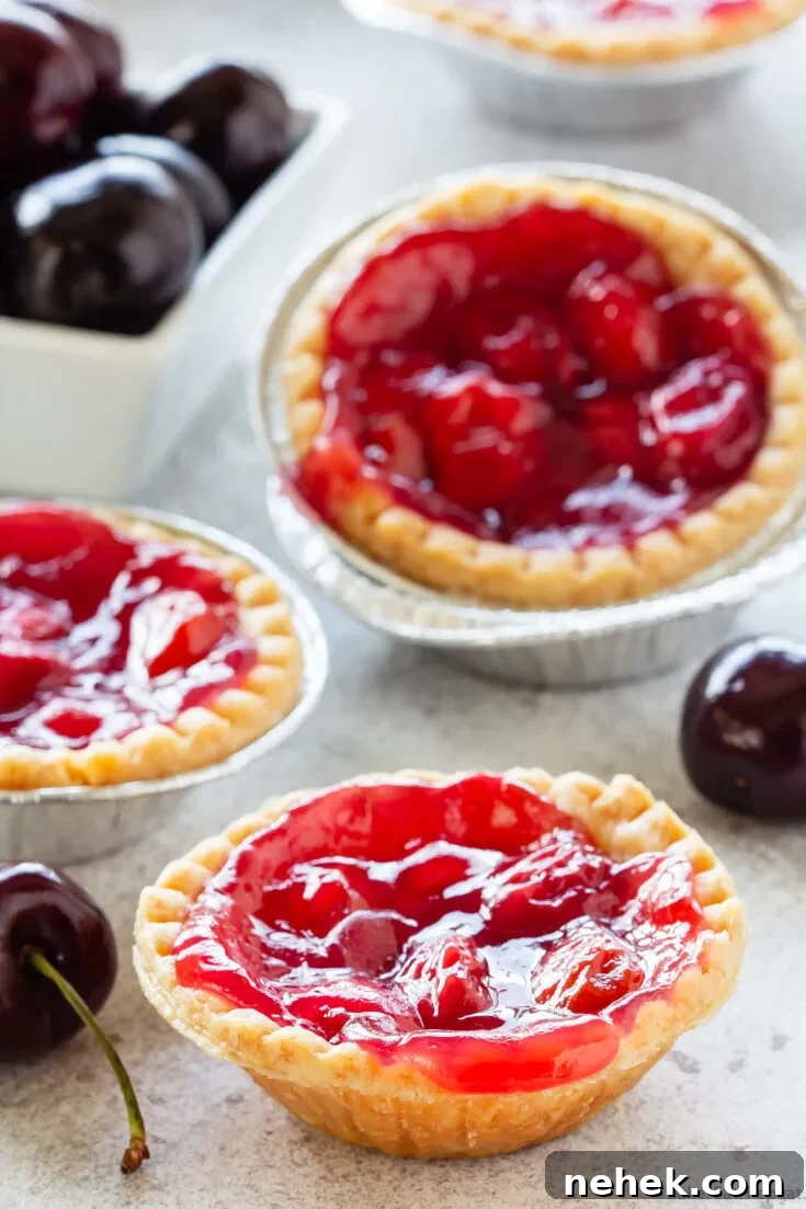 sour cherry tarts