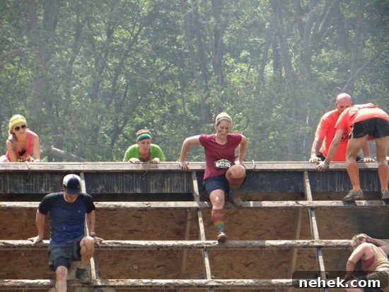 mud 10