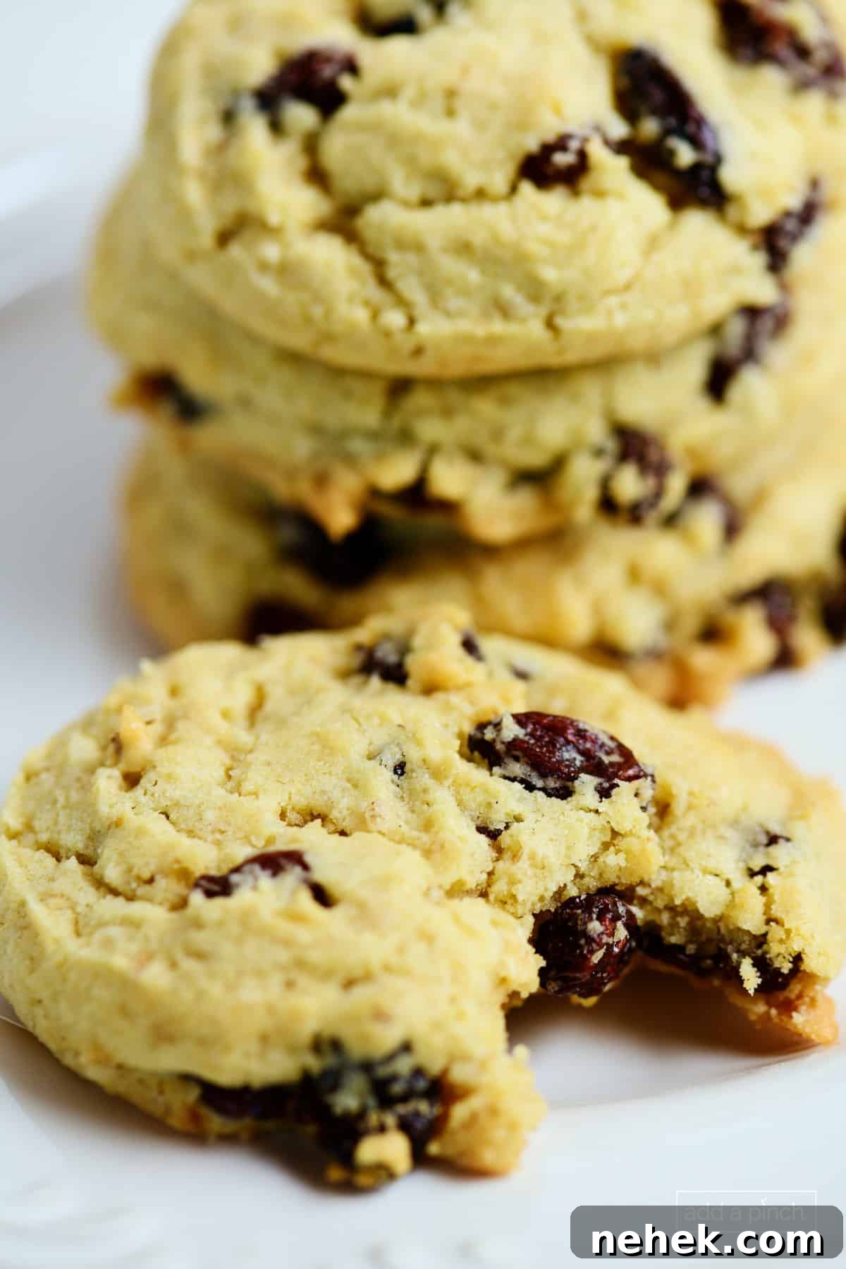 Closeup of a plate of oatmeal raisin cookies, with the cookie in front having a bite out of it.