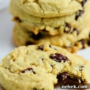 Closeup of a plate of oatmeal raisin cookies, with the cookie in front having a bite out of it.
