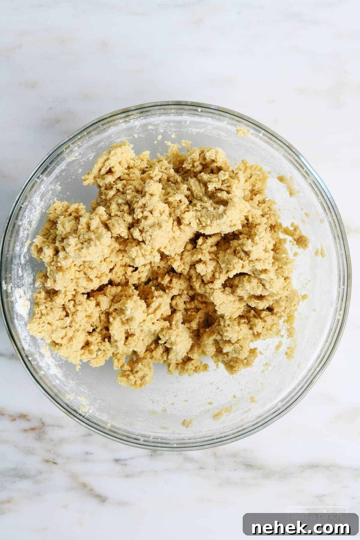 Oatmeal Raisin Cookie dough is blended and ready to add the raisins. 