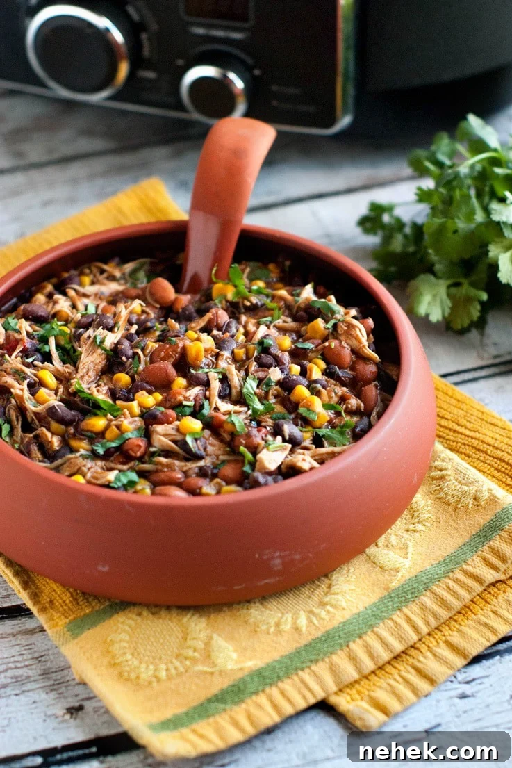 A large spoon in a large bowl of Crock Pot Salsa Chicken Chili.