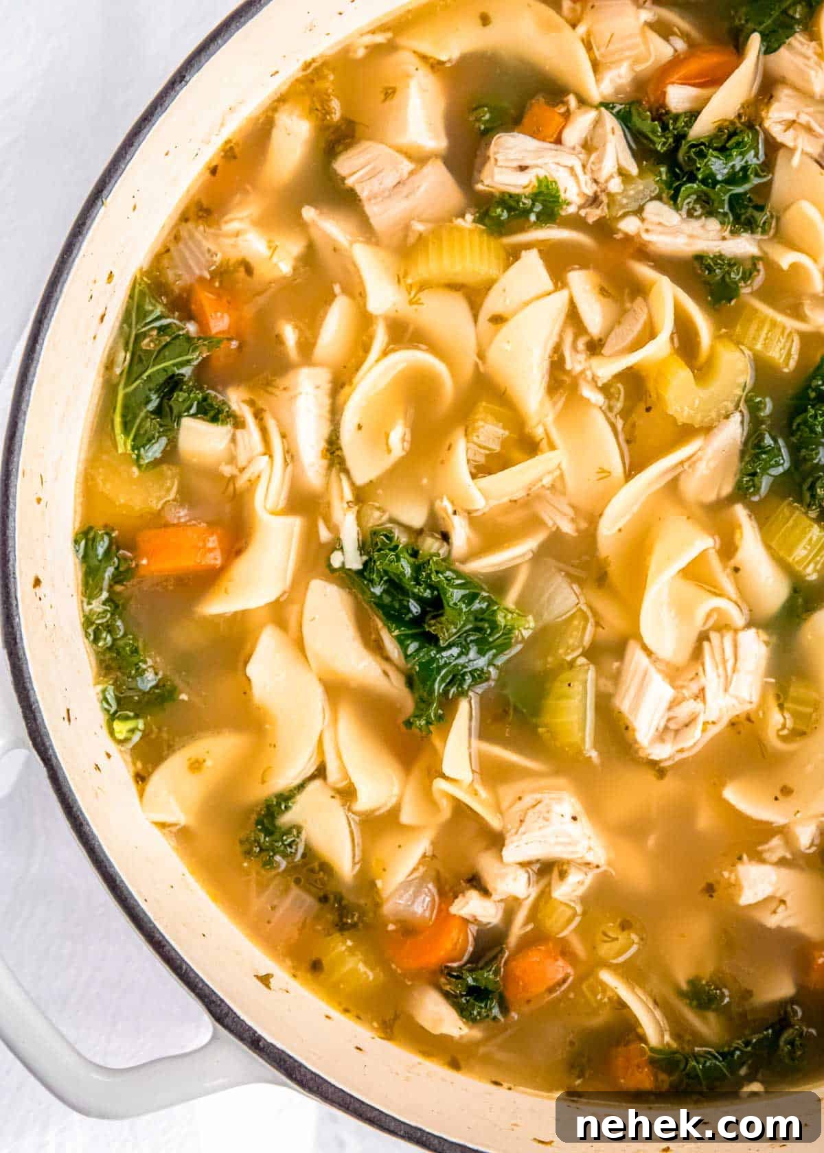 Classic Homemade Chicken Noodle Soup Recipe for Comforting Meals 2 a closeup view of a pot full of homemade chicken noodle soup with egg noodles