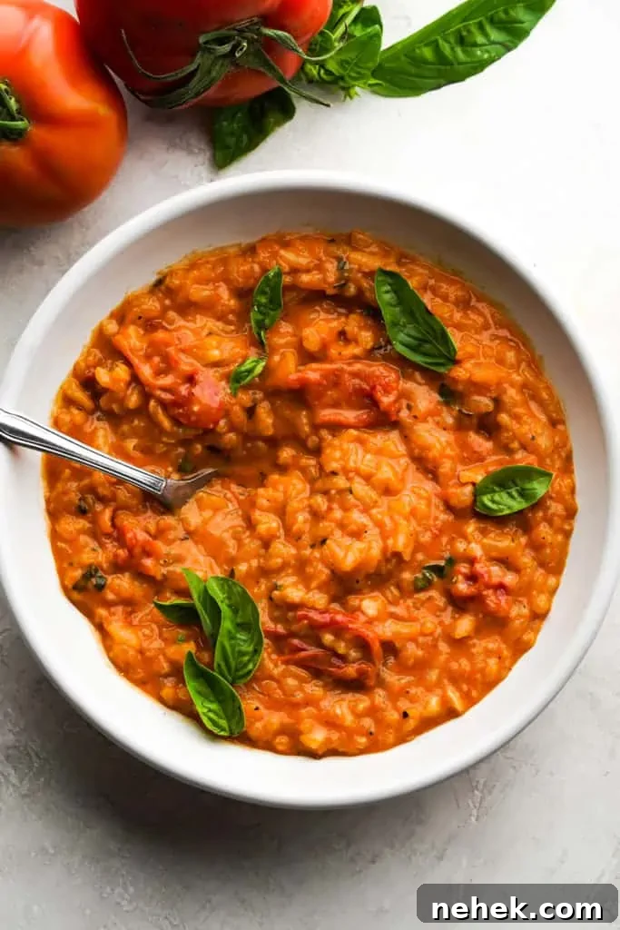 tomato-risotto-recipe