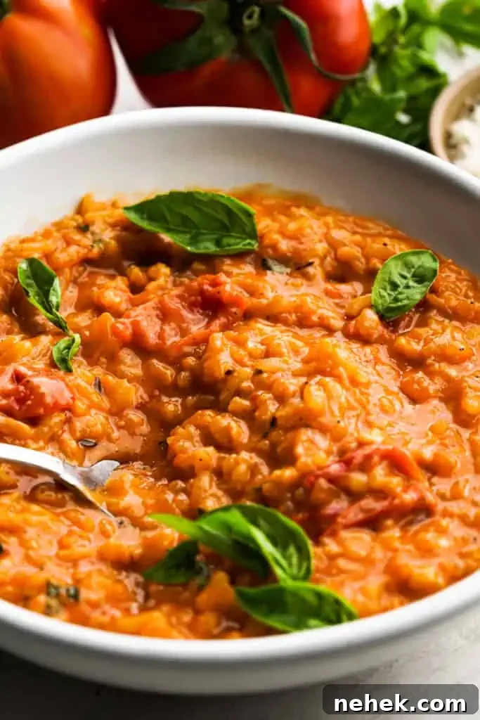 tomato-risotto-in-bowl