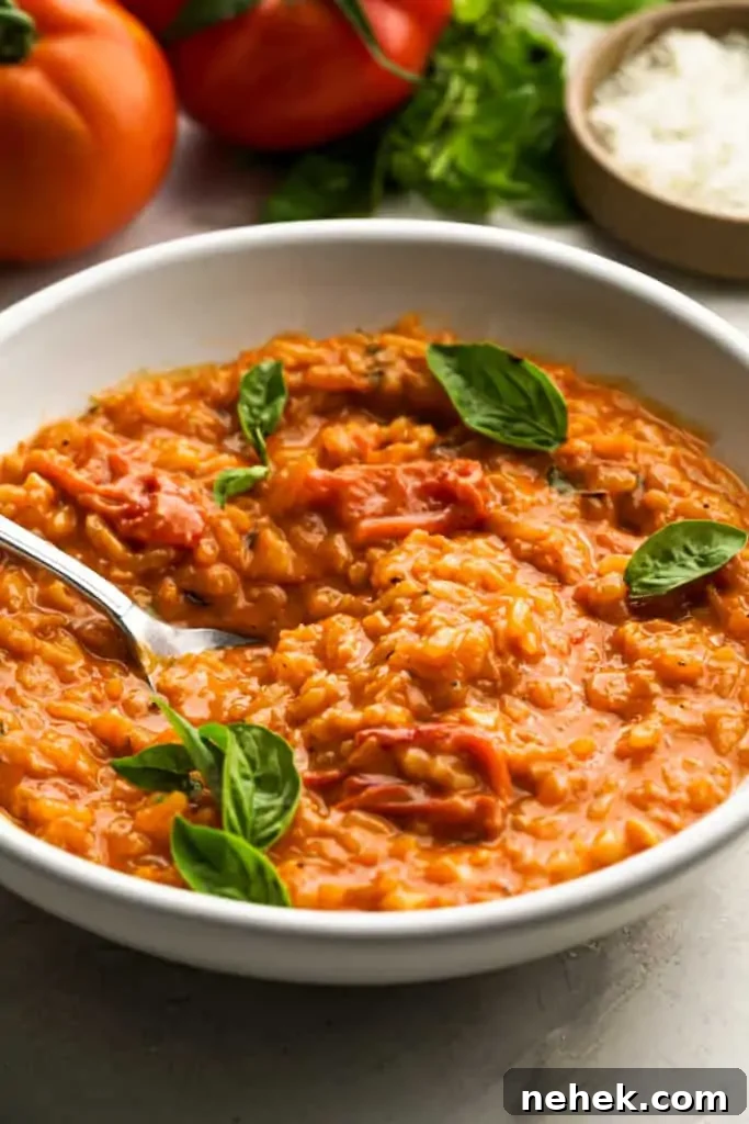 creamy-tomato-risotto