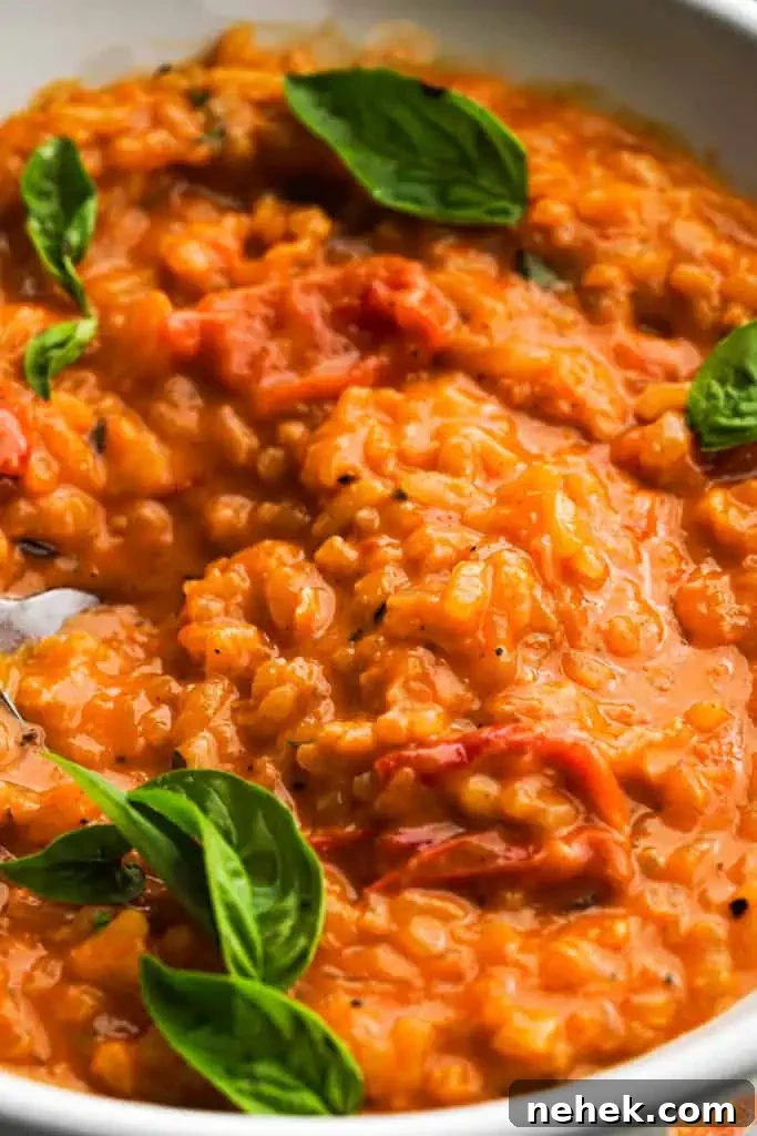 tomato-risotto-recipe-closeup