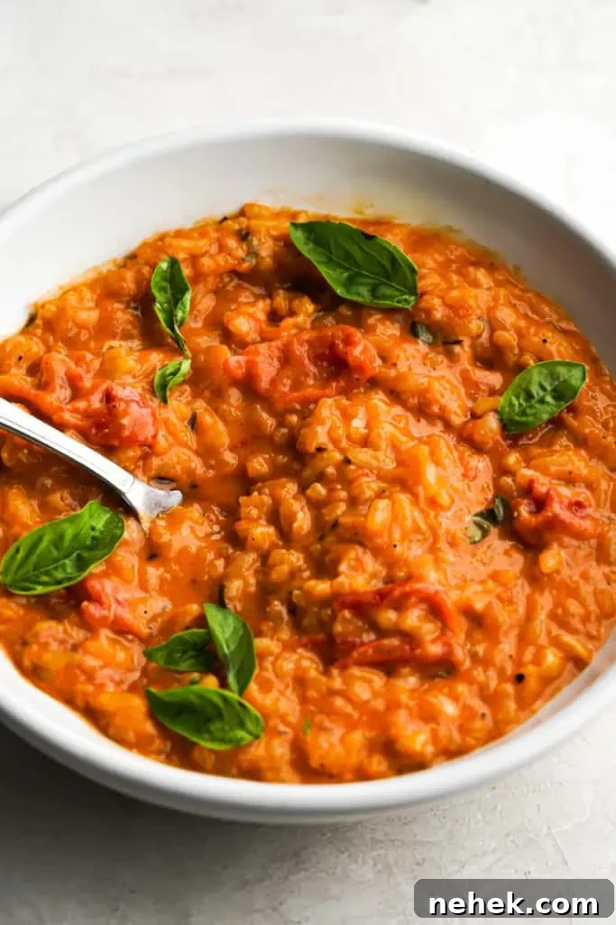 tomato-risotto-closeup