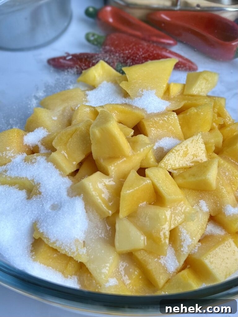 mango paletas closeup