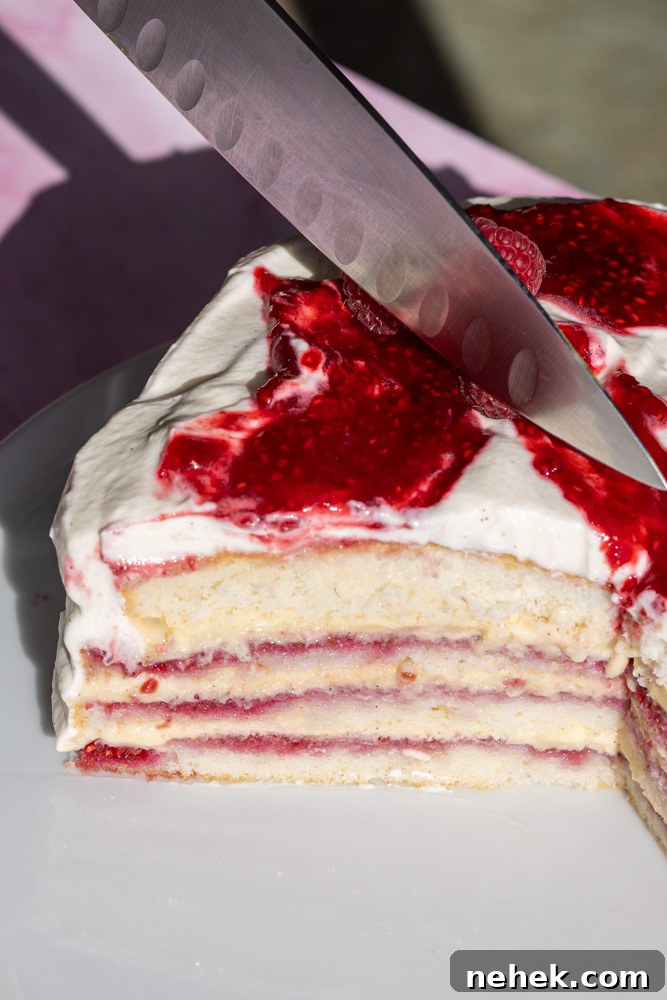 Raspberry Chiffon cake