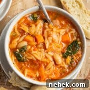 This is a square picture of vegetable and orzo soup.