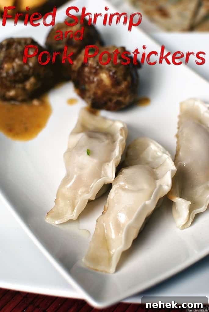 Potstickers