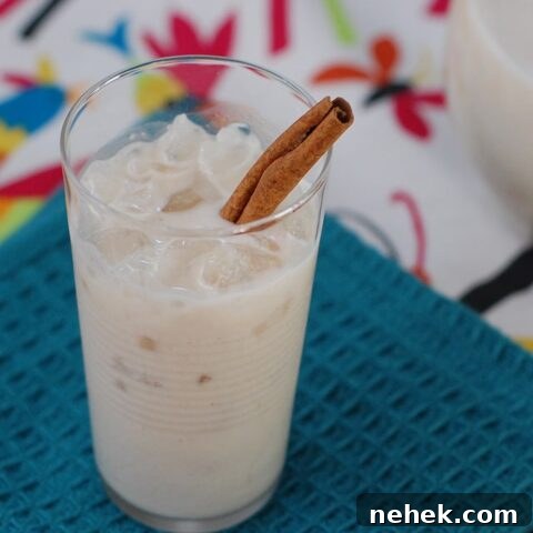 Oat-chata from OATrageous Oatmeals