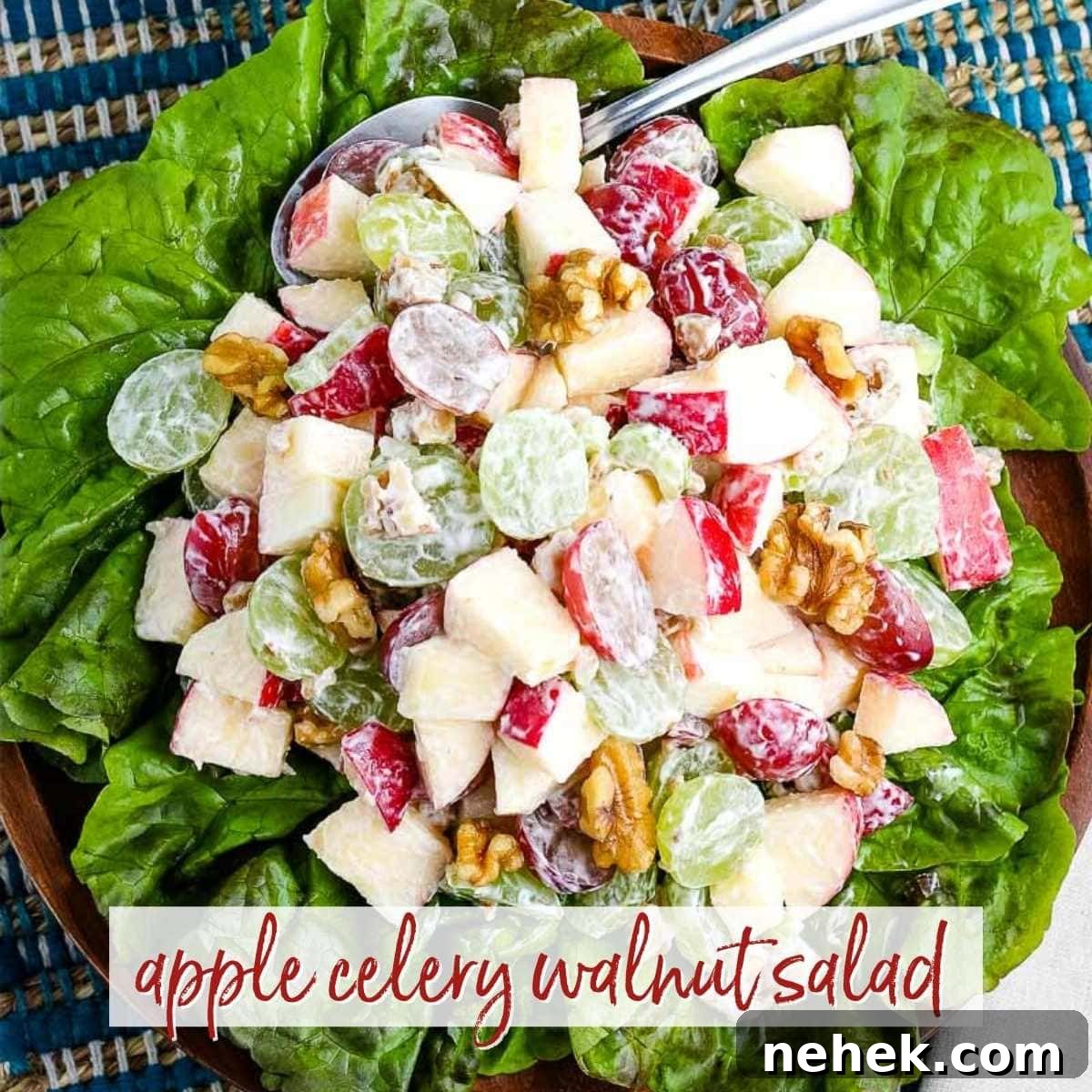 apple celery walnut salad on lettuce