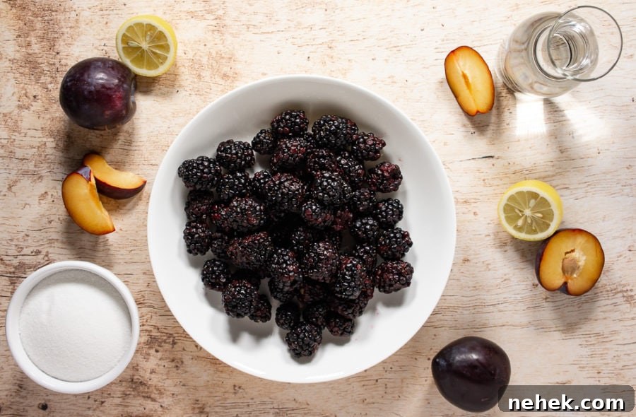 A white bowl of blackberries surrounded by sliced plums, lemon slices, a bowl of sugar and carafe of water