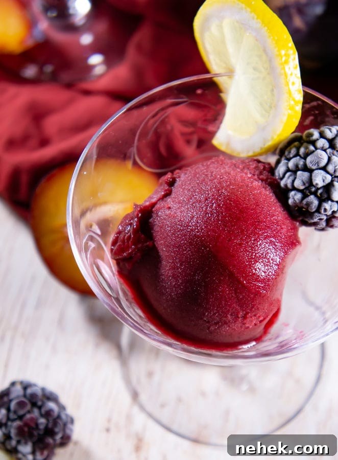A dessert glass with a scoop of plum blackberry sorbet with a frozen berry and a lemon slice