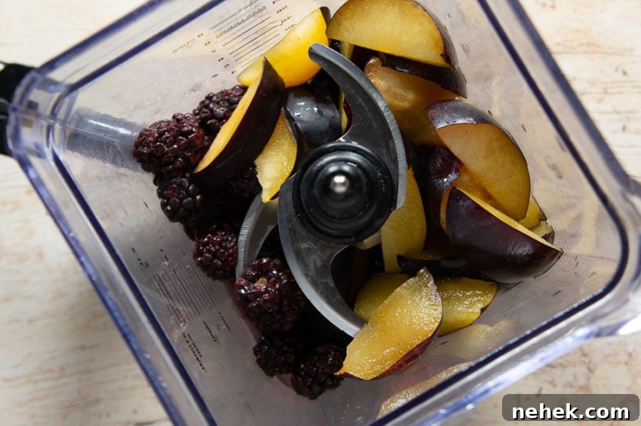 a blender with plums and blackberries inside
