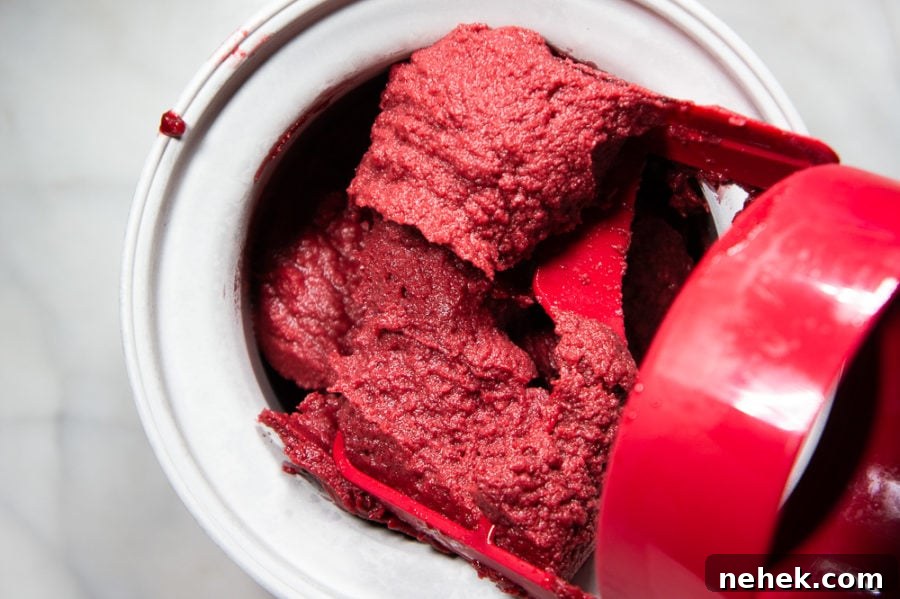 Finished sorbet in the bowl of an ice cream maker