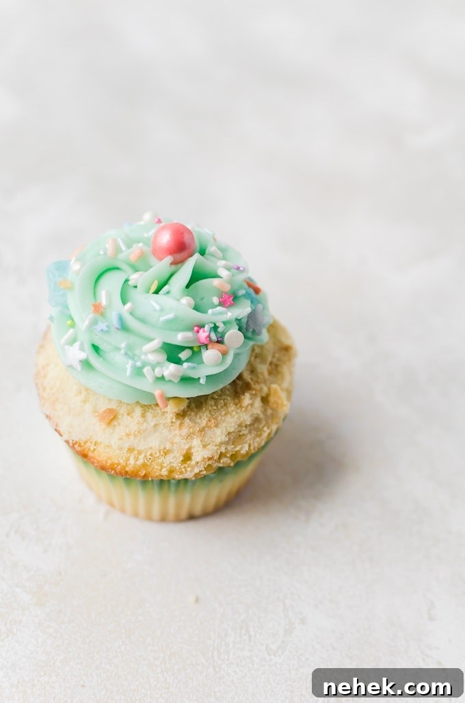 single mermaid cupcake without mermaid tail