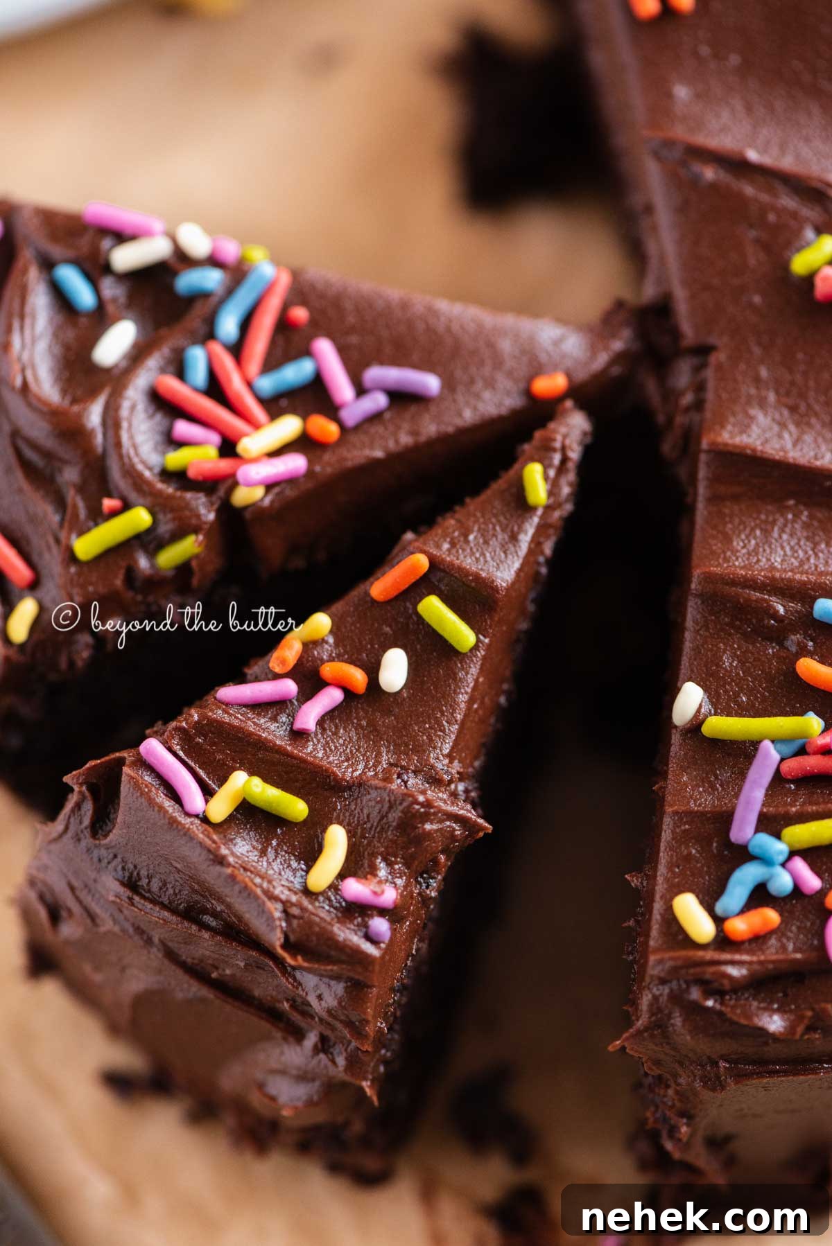 Quick Single-Layer Chocolate Cake Recipe for Perfect Moistness 14 Overhead closeup image of single layer chocolate cake with slices cut and randomly placed by the cake | All Images © Beyond the Butter®