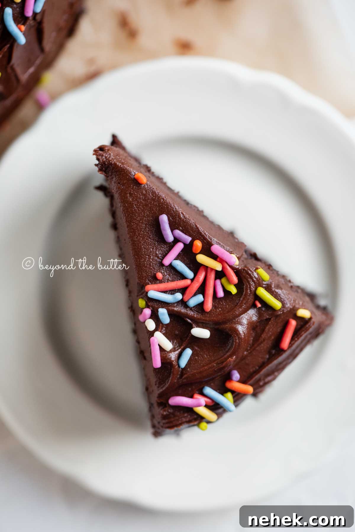 Quick Single-Layer Chocolate Cake Recipe for Perfect Moistness 3 Overhead closeup image of single slice of 6 inch chocolate cake on white dessert plate | All Images © Beyond the Butter®