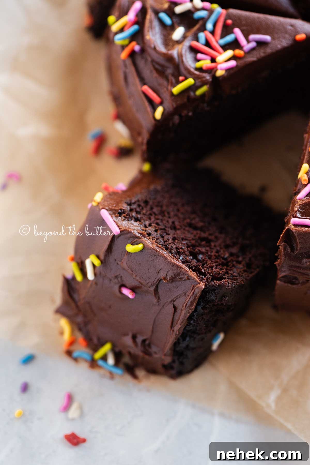 Quick Single-Layer Chocolate Cake Recipe for Perfect Moistness 4 Angled closeup image of single layer chocolate cake with slices cut and randomly placed by the cake | All Images © Beyond the Butter®