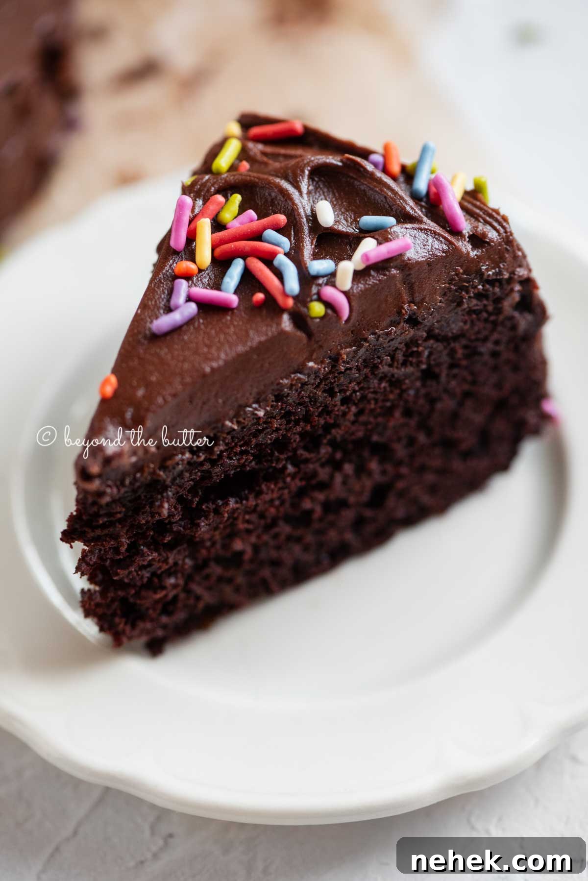 Quick Single-Layer Chocolate Cake Recipe for Perfect Moistness 7 Angled closeup image of single slice of 6 inch chocolate cake on white dessert plate | All Images © Beyond the Butter®