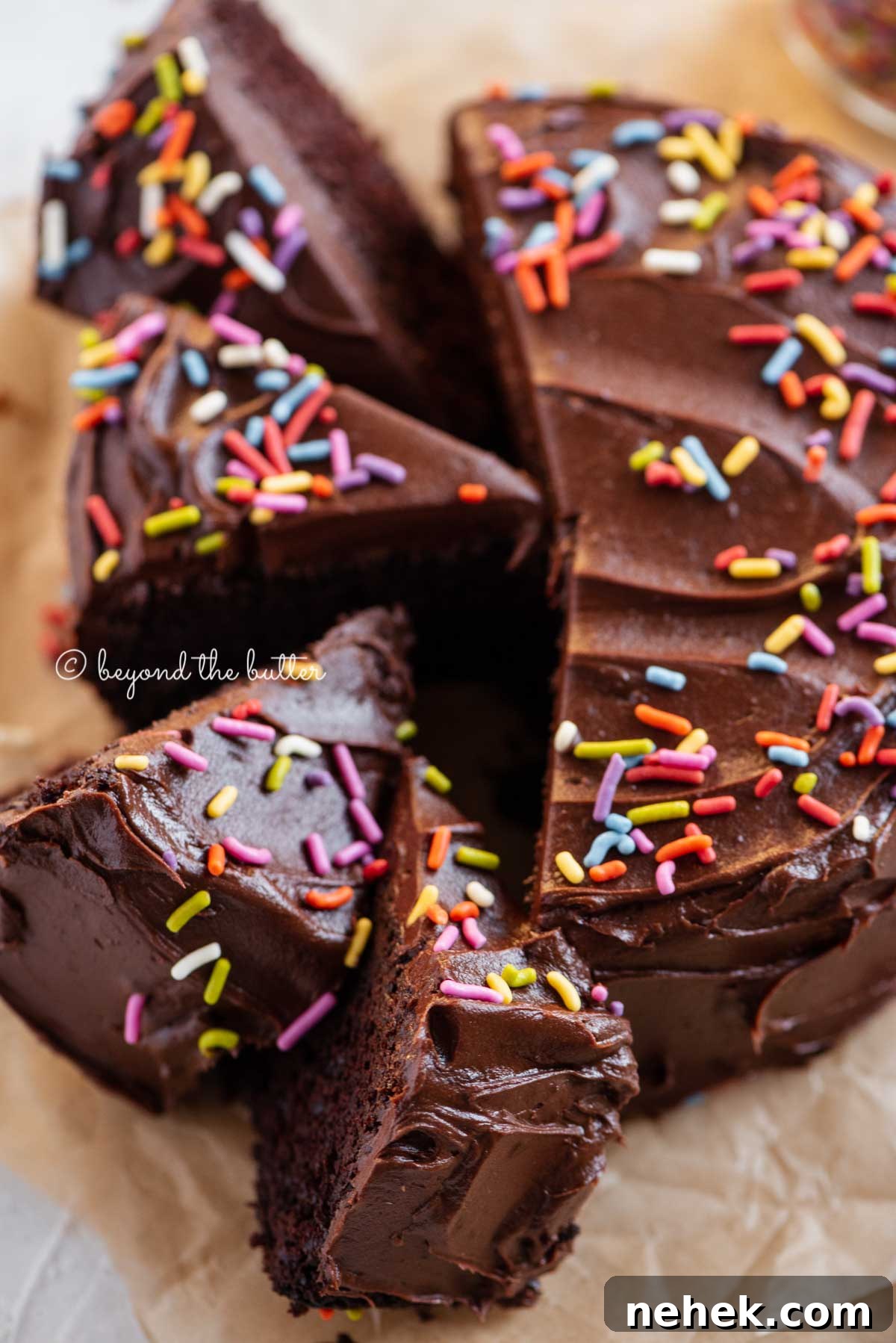Quick Single-Layer Chocolate Cake Recipe for Perfect Moistness 8 Overhead image of single layer chocolate cake with slices cut and randomly placed by the cake | All Images © Beyond the Butter®