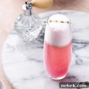 Rose Colored Glasses Raspberry Vanilla Gin Cocktail