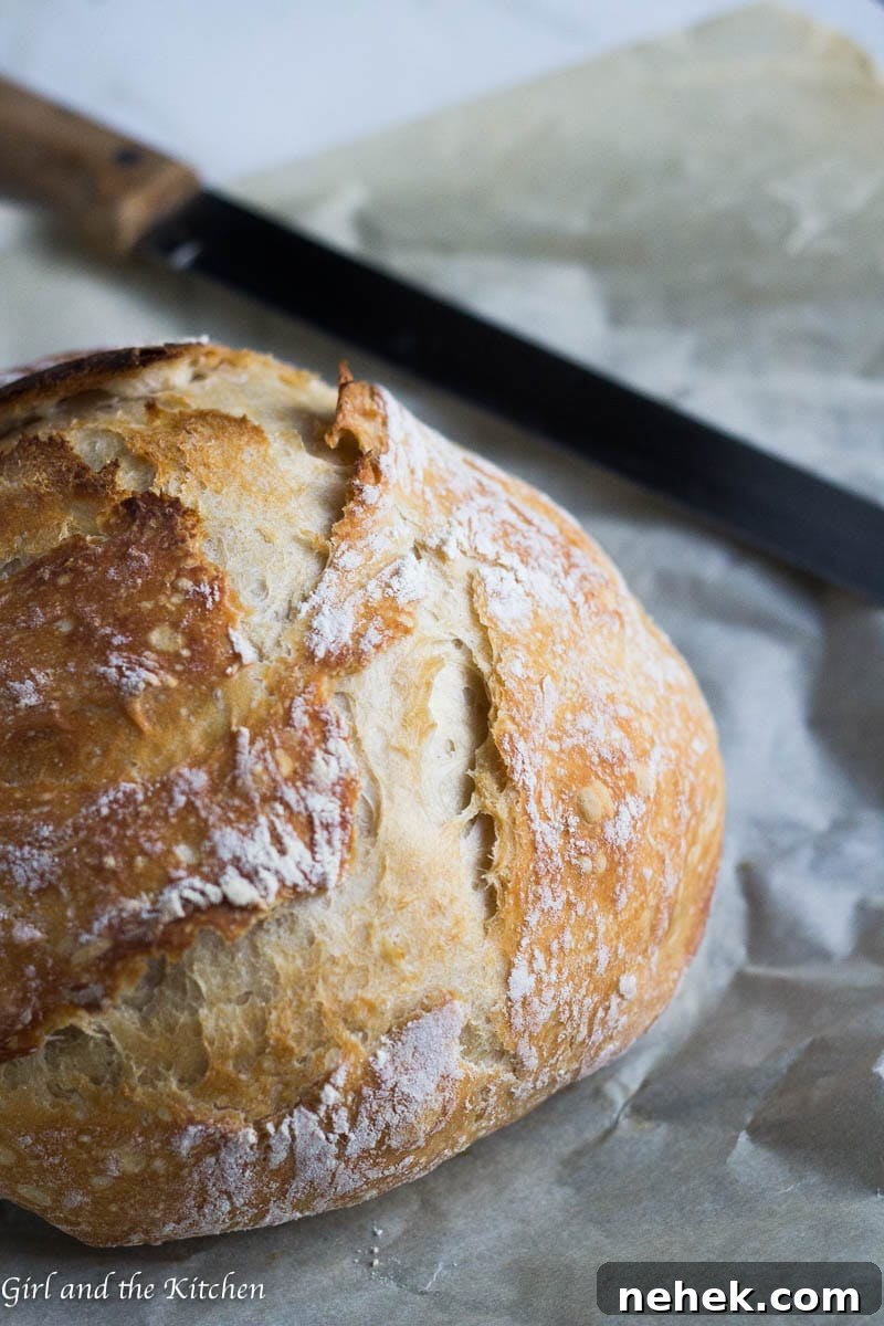 Seriously Crispy No-Knead Bread Recipe for Crunchy Crust 2 Crispy No Knead Bread - Girl and the Kitchen