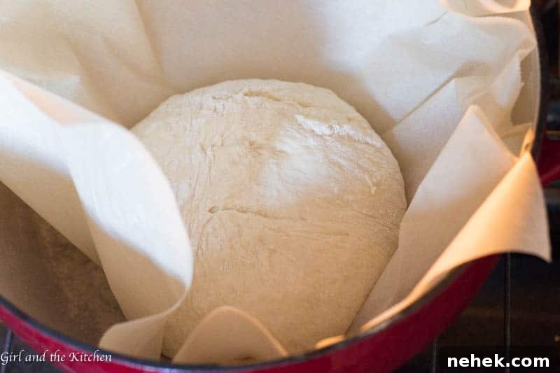 Seriously Crispy No-Knead Bread Recipe for Crunchy Crust 7 Crispy No Knead Bread - Girl and the Kitchen