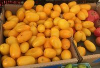 Is the Lectin-Free Diet Right for You? What to Know Before Trying It