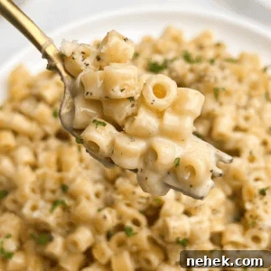 butter parmesan pasta on a plate