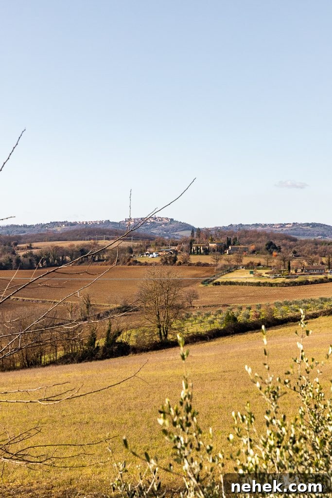 Winter in Tuscany Winter in Tuscany