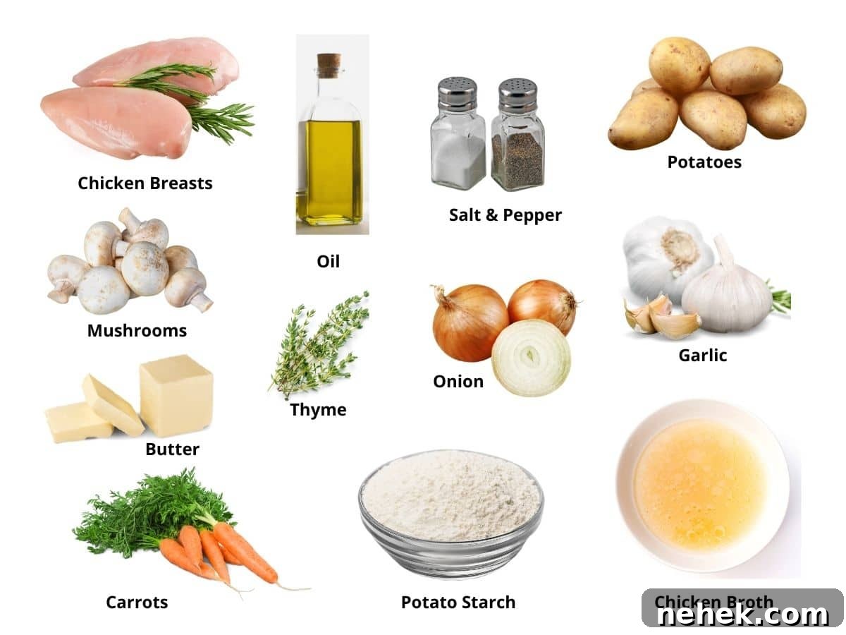 Hearty Gluten-Free Chicken Stew in the Instant Pot 3 Photos of the gluten free chicken stew ingredients.