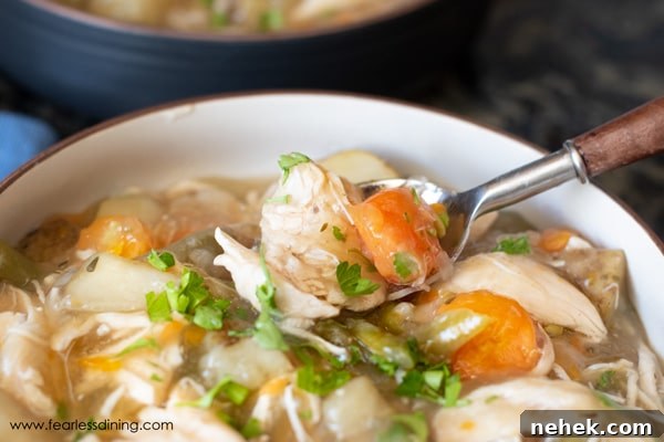 Hearty Gluten-Free Chicken Stew in the Instant Pot 4 A spoon full of gluten free chicken stew.