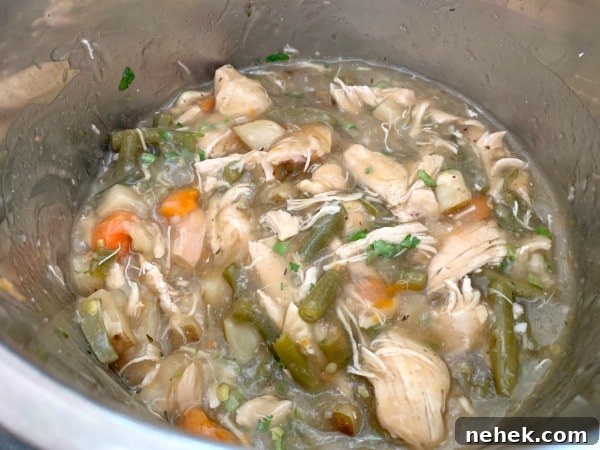Hearty Gluten-Free Chicken Stew in the Instant Pot 9 The cooked gluten free chicken stew in the Instant Pot.