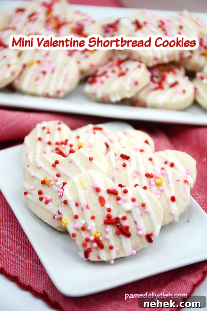 Mini Valentine Shortbread Cookies Recipe for Cute Heart Treats 11 img 38921 10