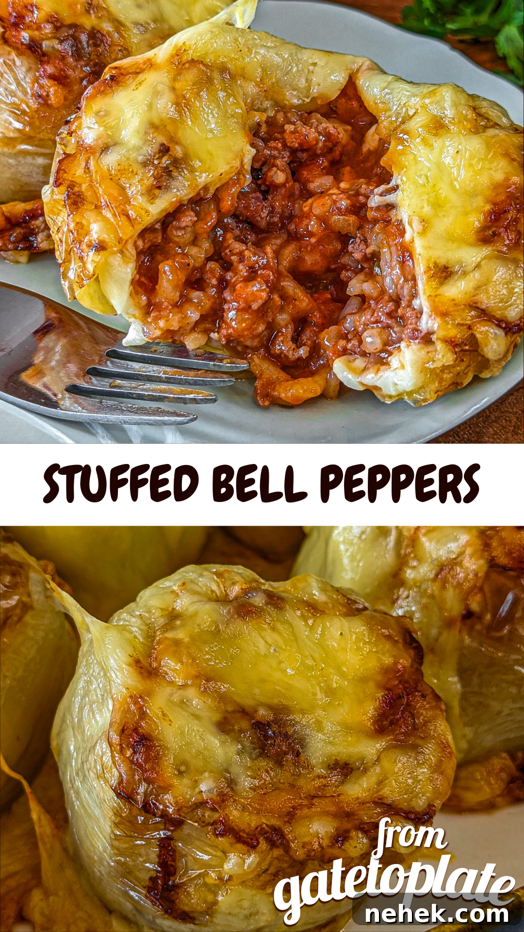 Cheesy Beef and Rice Stuffed Bell Peppers Recipe 15 img 5589 14