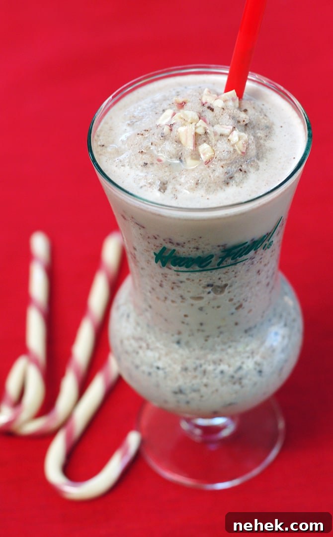 Vegan Peppermint Chocolate Chip Holiday Shake Peppermint Chocolate Chip Holiday Shake