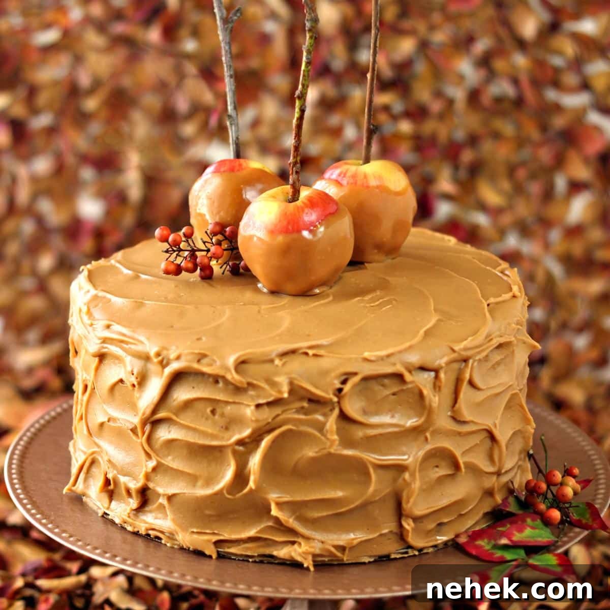 featured 1381