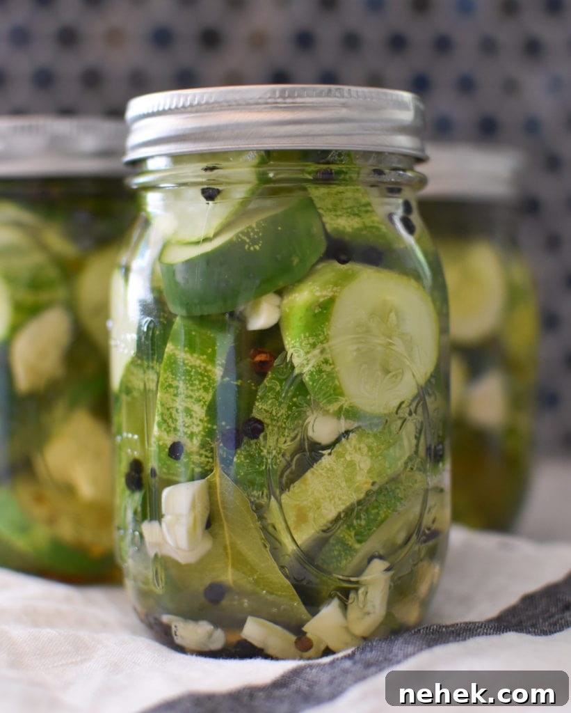 Quick Homemade Dill Pickles Ready in 1 Hour 2 Homemade farmers market dill pickles | quick and easy