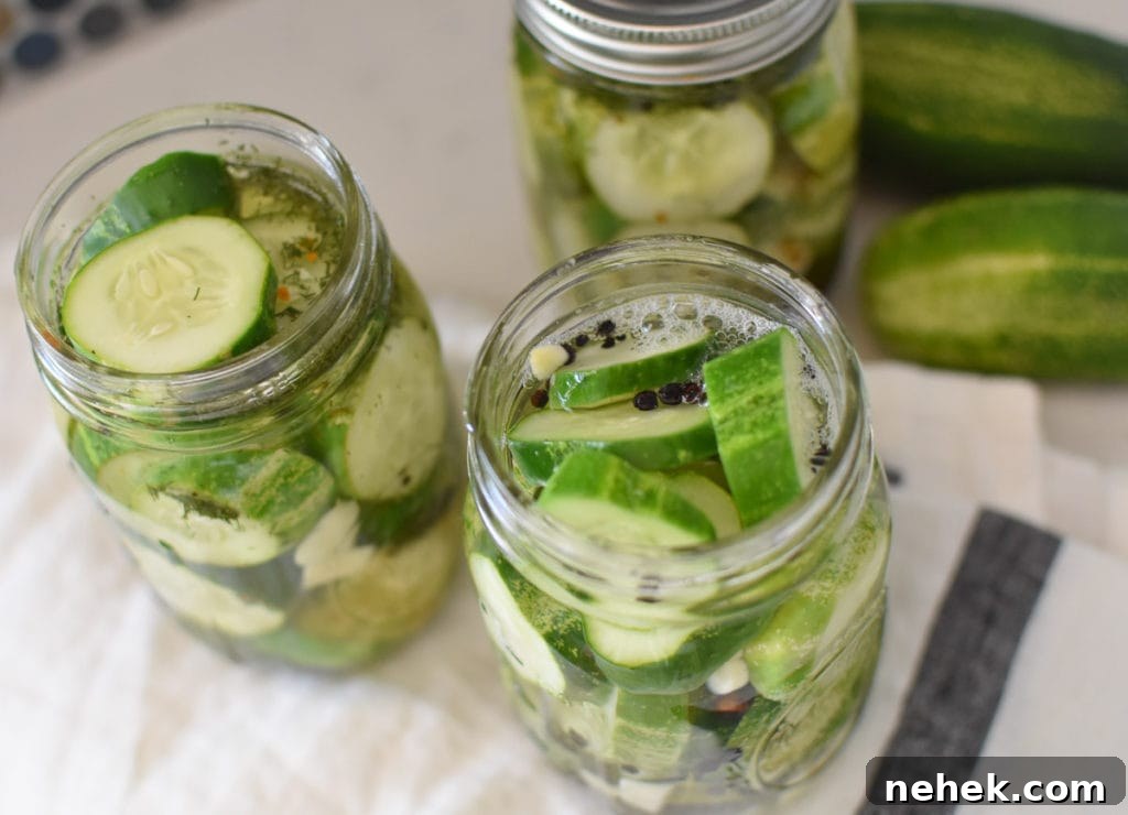 Quick Homemade Dill Pickles Ready in 1 Hour 3 Homemade farmers market | quick and easy dill pickles